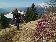 Invernale-primaverile in CIMA PARE’ (1642 m) il 20 marzo 2014